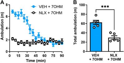 Evaluation of Kratom Opioid Derivatives as Potential Treatment Option for Alcohol Use Disorder